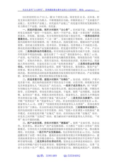 村党支部实施乡村振兴战略经验发言材料