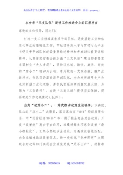 在全市“三支队伍”建设工作推进会上的汇报发言
