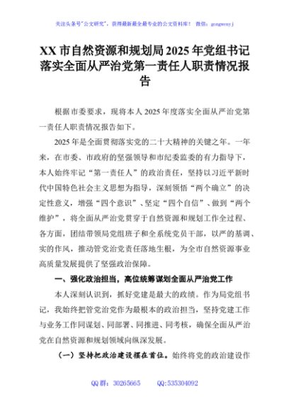XX市自然资源和规划局2025年党组书记落实全面从严治党第一责任人职责情况报告
