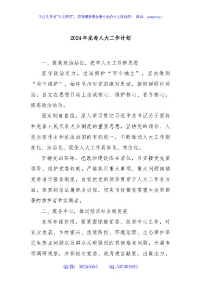 2024年龙母人大工作计划