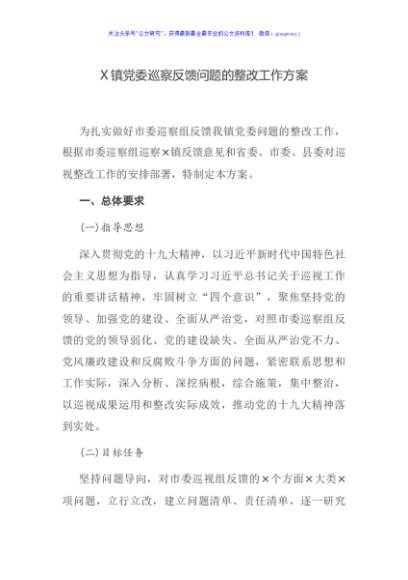 X镇党委巡察反馈问题的整改工作方案