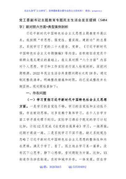 党工委副书记主题教育专题民主生活会发言提纲（践行宗旨等6个方面+典型案例剖析）