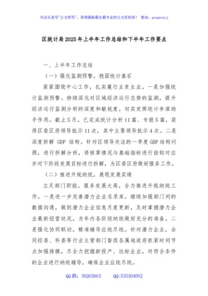 区统计局2025年上半年工作总结和下半年工作要点