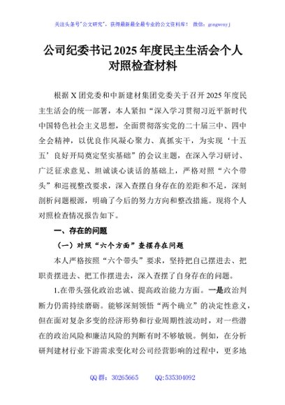 公司纪委书记2025年度民主生活会个人对照检查材料