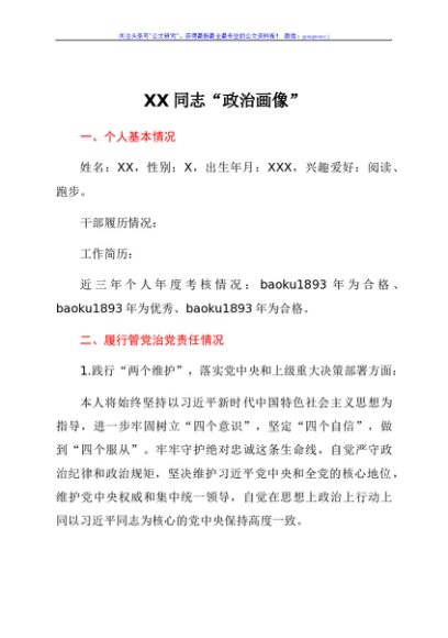 个人政治画像剖析