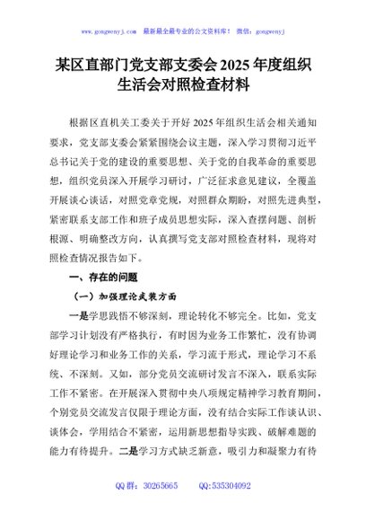 某区直部门党支部支委会2025年度组织生活会对照检查材料