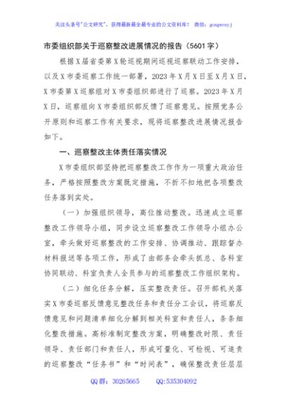 市委组织部关于巡察整改进展情况的报告（5601字）