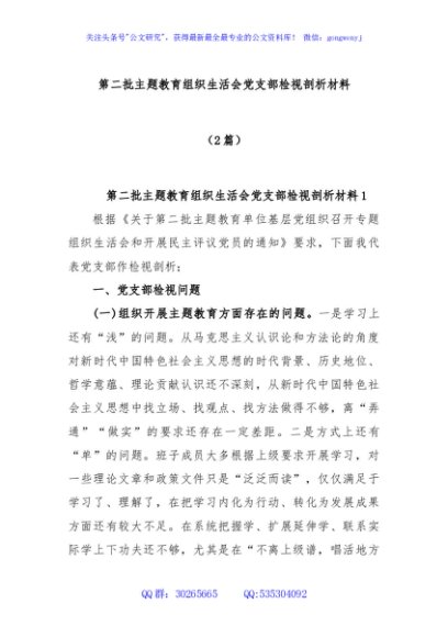 (2篇)第二批主题教育组织生活会党支部检视剖析材料
