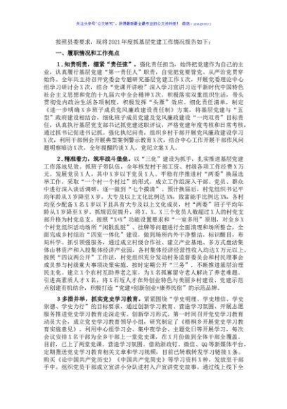 党委书记2021年度抓基层党建工作述职报告