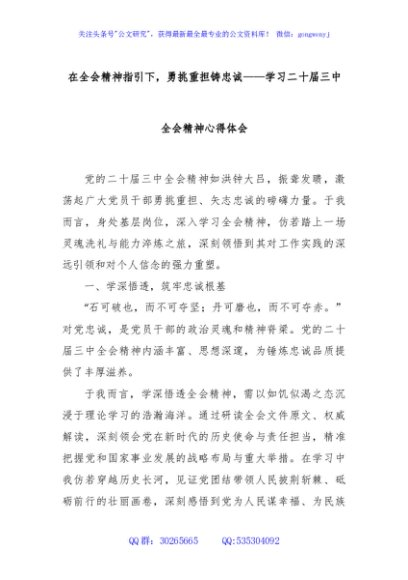 在全会精神指引下，勇挑重担铸忠诚——学习二十届三中全会精神心得体会