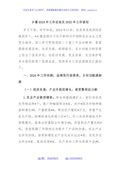 乡镇2024年工作总结及2025年工作谋划