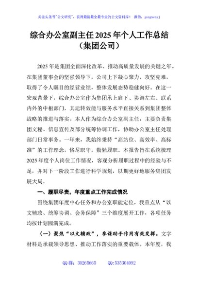 综合办公室副主任2025年个人工作总结（集团公司）