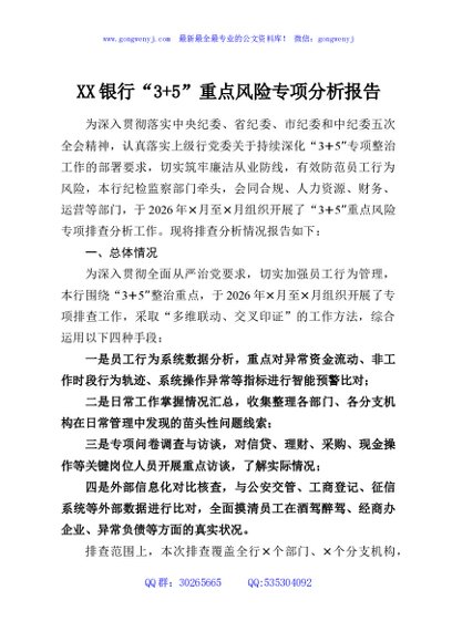 XX银行“3+5”重点风险专项分析报告