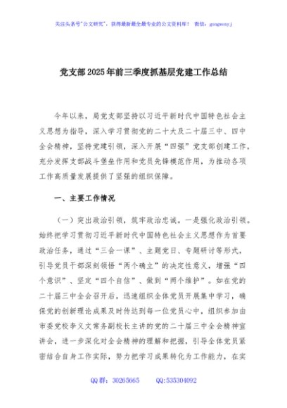 党支部2025年前三季度抓基层党建工作总结