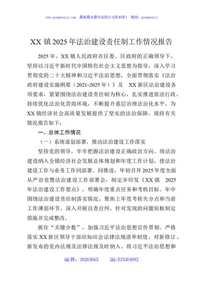 XX镇2025年法治建设责任制工作情况报告