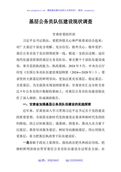 基层公务员队伍建设现状调查