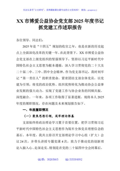 XX市博爱公益协会党支部2025年度书记抓党建工作述职报告