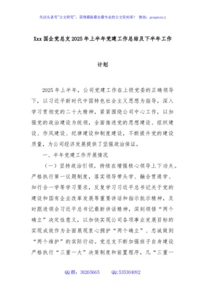 Xxx国企党总支 2025 年上半年党建工作总结及下半年工作计划