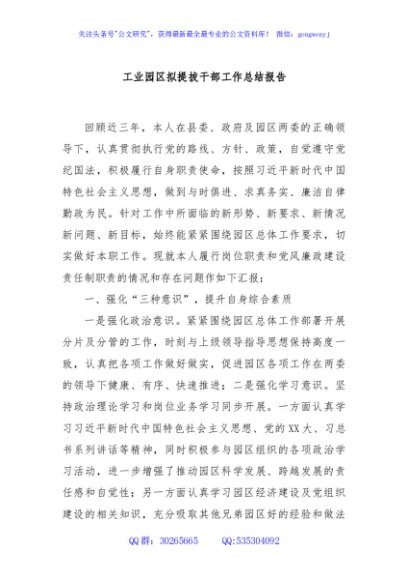 工业园区拟提拔干部工作总结报告