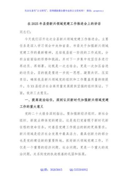 在2025年县委新兴领域党建工作推进会上的讲话