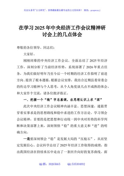 在学习2025年中央经济工作会议精神研讨会上的几点体会