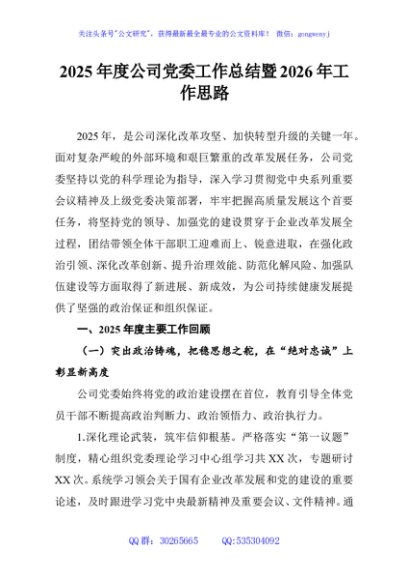 2025年度公司党委工作总结暨2026年工作思路