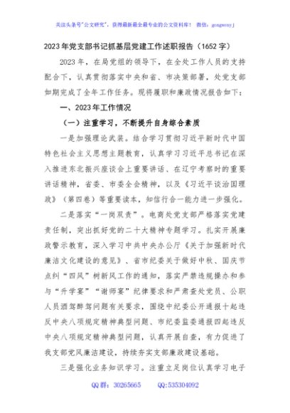 2023年党支部书记抓基层党建工作述职报告
