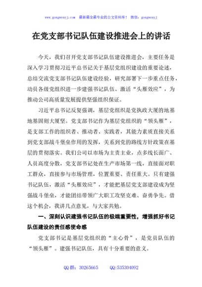 在党支部书记队伍建设推进会上的讲话