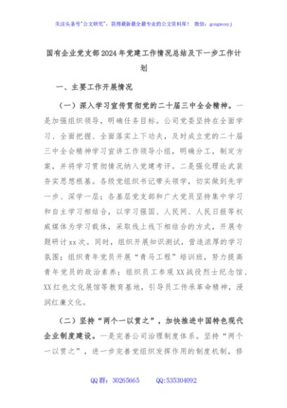 国有企业党支部2024年党建工作情况总结及下一步工作计划