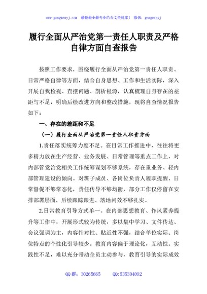 履行全面从严治党第一责任人职责及严格自律方面自查报告