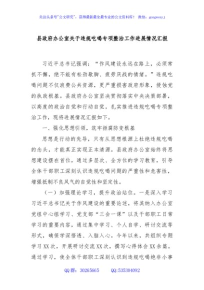 县政府办公室关于违规吃喝专项整治工作进展情况汇报