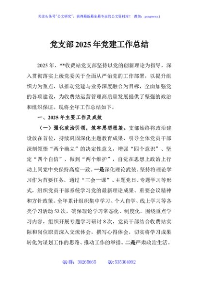 党支部2025年党建工作总结