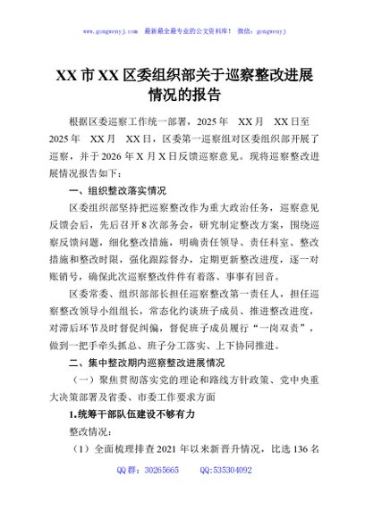 XX市XX区委组织部关于巡察整改进展情况的报告