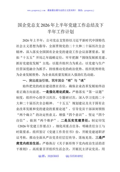 国企党总支2026年上半年党建工作总结及下半年工作计划