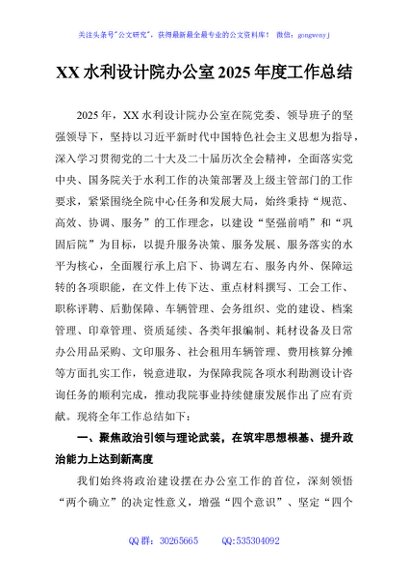 XX水利设计院办公室2025年度工作总结