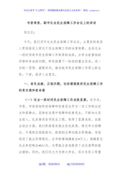 市委常委、副市长在民生保障工作会议上的讲话