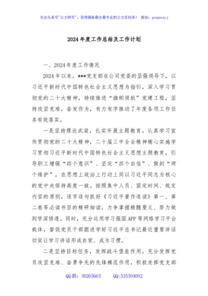 2024年度工作总结及工作计划