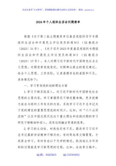 2024年个人组织生活会问题清单