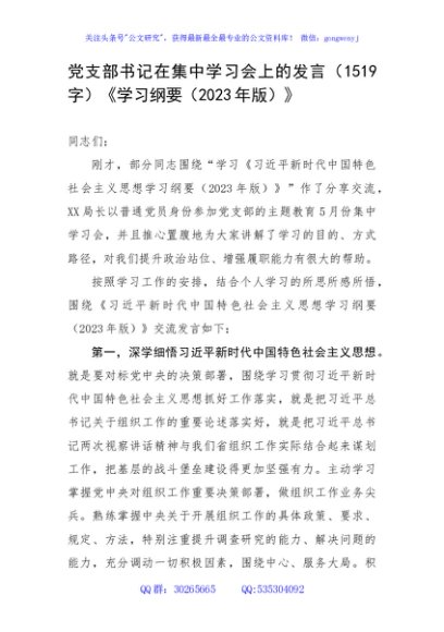 主题教育党支部书记在集中学习会上的发言《学习纲要（2023年版）》