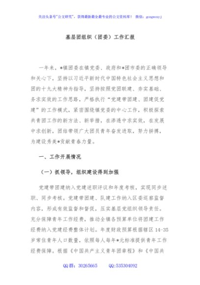 基层团组织（团委）工作汇报