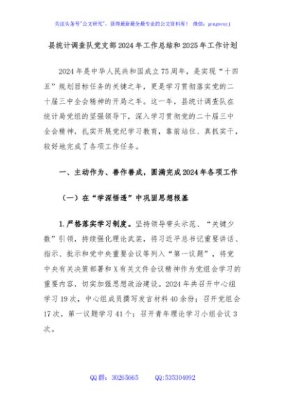 县统计调查队党支部2024年工作总结和2025年工作计划