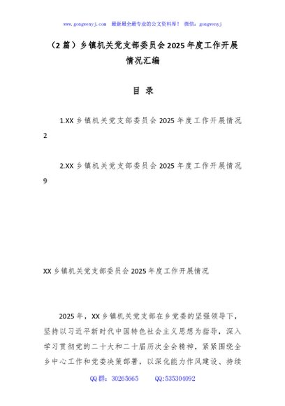 （2篇）乡镇机关党支部委员会2025年度工作开展情况汇编