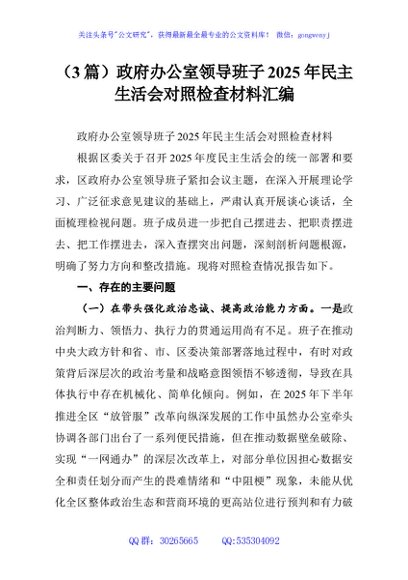 （3篇）政府办公室领导班子2025年民主生活会对照检查材料汇编