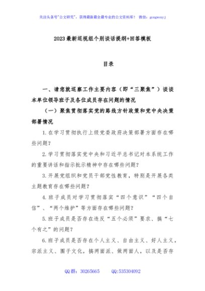 2023年最新巡视组个别谈话提纲+回答模板