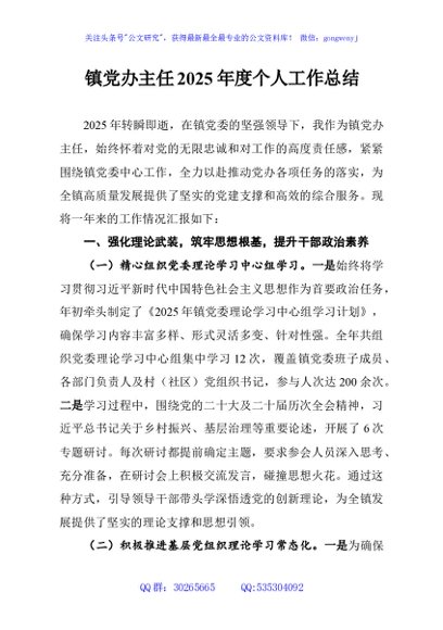 镇党办主任2025年度个人工作总结