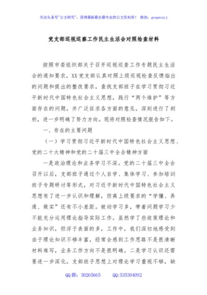 党支部巡视巡察工作民主生活会对照检查材料