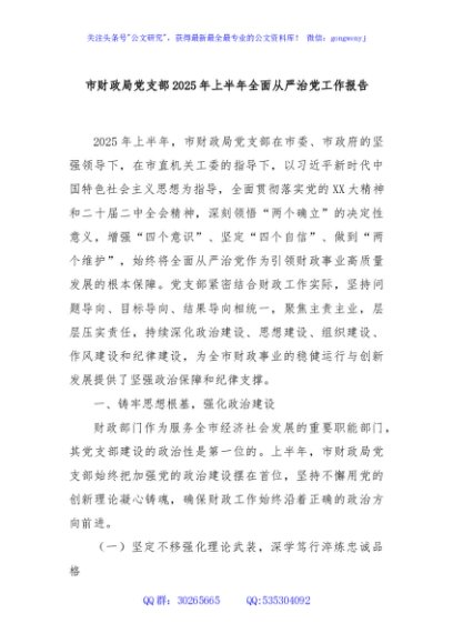 市财政局党支部2025年上半年全面从严治党工作报告