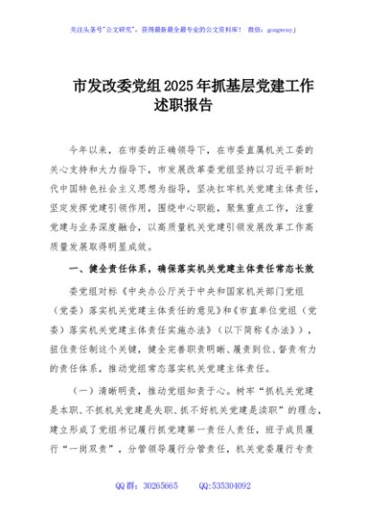 市发改委党组2025年抓基层党建工作述职报告