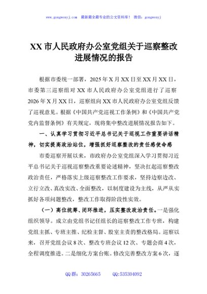 XX市人民政府办公室党组关于巡察整改进展情况的报告
