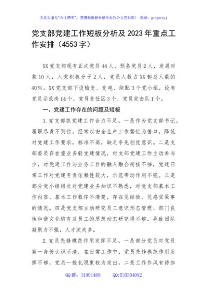 支部党建工作短板分析及2023年重点工作安排